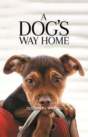 A Dog's Way Home (2019) Tamil Dubbed Movie 