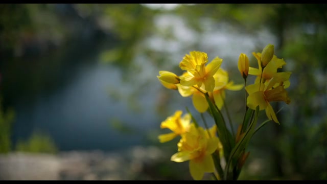 he Four Seasons 2025 Season 01 Epi 01