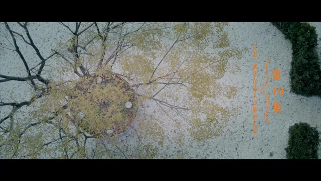 A Robot in The Orange Orchard 2025 Season 01 Epi 10