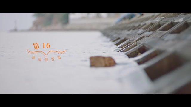 A Robot in The Orange Orchard 2025 Season 01 Epi 16